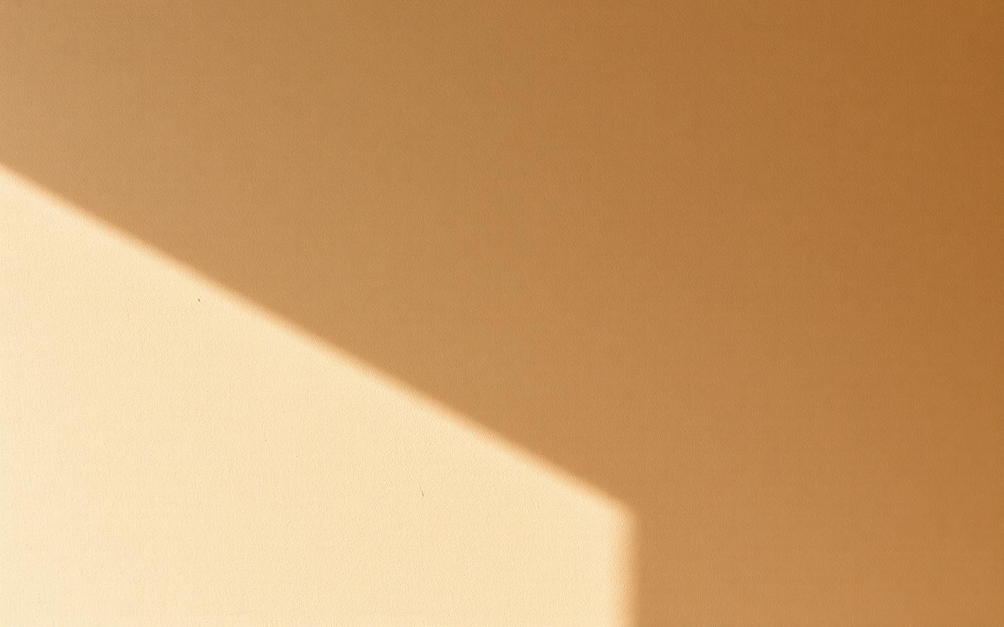 Warm clay-colored plaster wall in soft natural light
